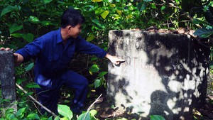 Thúc tiến độ dự án sân bay Long Thành