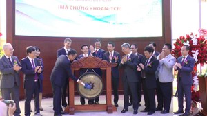 1,16 tỉ cổ phiếu Techcombank chào sàn HOSE