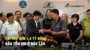 Tài trợ hơn 1,4 tỷ đồng bảo tồn voi ở Đắk Lắk