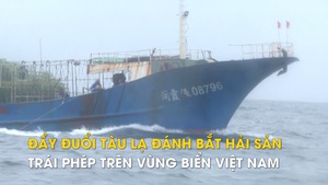 Đẩy đuổi tàu lạ đánh bắt hải sản trái phép trên vùng biển Việt Nam