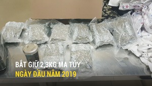 Hải quan Tân Sơn Nhất bắt giữ 2,3kg ma túy ngày đầu năm 2019