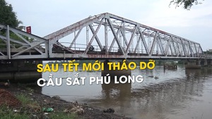 Hoãn tháo dỡ cầu sắt Phú Long nối TP.HCM - Bình Dương qua sau Tết