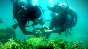 Hai nữ kỹ sư “trồng rừng” dưới đáy biển
