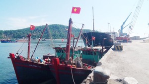Tàu thuyền ngư dân neo đậu trái phép ở cảng Cửa Lò