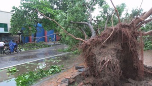 TP Quy Nhơn ngổn ngang sau bão số 5
