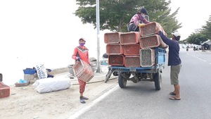 Người nuôi thủy sản trên vịnh Vân Phòng “chạy đua” với lũ