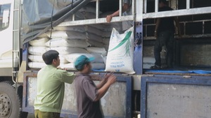 Phú Yên: Tạm giữ 30 tấn đường có nguồn gốc nước ngoài