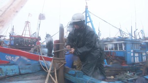 Ráo riết gia cố tàu thuyền, sơ tán người dân đến nơi an toàn tránh bão