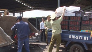 Bình Phước: Tiêu hủy hơn 2 tấn trái cây nhập lậu