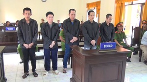 Băng trộm, cướp tài sản ở các tỉnh miền Tây Nam Bộ lãnh 56 năm tù