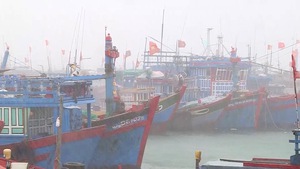 Đề nghị hỗ trợ 11 tàu cá chạy vào Philippines trú bão số 6