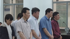 Phạt tù nặng 11 bị cáo tham ô tại tỉnh Khánh Hòa