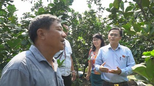 Tổ chức hội xuân cho nông dân bày bán nông sản “cây nhà lá vườn”