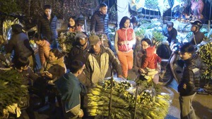 Đêm không ngủ ở chợ hoa Quảng Bá trong những ngày giáp Tết