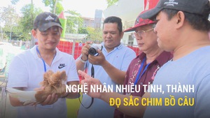 Nghệ nhân nhiều tỉnh, thành đọ sắc chim bồ câu