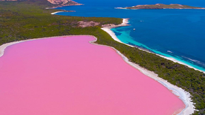 Bí ẩn hồ nước hồng kỳ lạ ở Úc