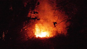 Cháy rừng tại Nhơn Trạch