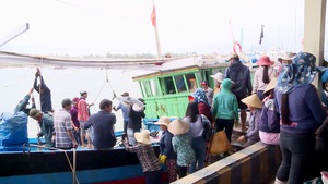 Cảng cá ở Phú Yên ngày cuối năm, ngư dân mang niềm vui Tết vào bờ