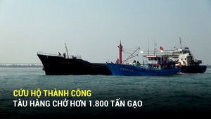 Cứu hộ thành công tàu hàng chở hơn 1.800 tấn gạo bị nước tràn vào khoang