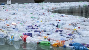 Na Uy, quốc  gia này có tỷ lệ tái chế chai nhựa lên tới 97%