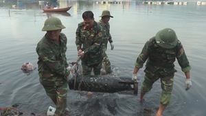 Phát hiện ngư lôi dài 1m, nặng gần 100kg khi thi công tuyến đê ven biển