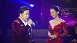 Lệ Quyên - Quang Lê hát live bản hit Sầu tím thiệp hồng