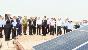 Khánh thành cụm nhà máy điện mặt trời lớn nhất Việt Nam tại Đắk Lắk