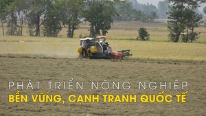 Hướng đến nền nông nghiệp phát triển bền vững, cạnh tranh quốc tế