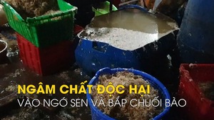 Bắt quả tang 3 cơ cở ngâm chất độc hại vào ngó sen và bắp chuối bào