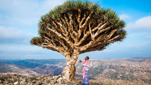 Vẻ đẹp tuyệt diệu của hòn đảo đẹp nhất thế giới: Socotra