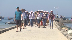 Hội An phản ứng việc Đà Nẵng dự tính mở tuyến du lịch đi Cù Lao Chàm