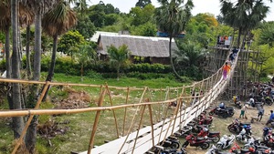 Độc đáo cầu treo trên cây thốt nốt ở An Giang
