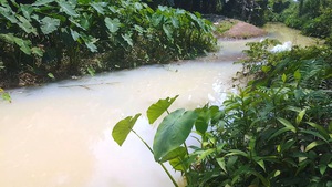 Phạt doanh nghiệp xả nước thải tại Đà Nẵng 180 triệu đồng