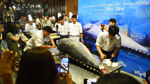 Thưởng thức cá ngừ đại dương nặng 200kg tại Hà Nội