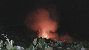 Cháy lớn tại bán đảo Sơn Trà