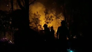 Hơn 900 người chữa cháy rừng ở Nghệ An trong đêm