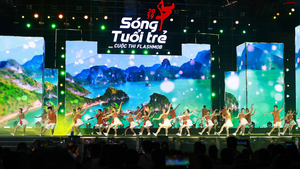 Ấn tượng đêm chung kết cuộc thi Flashmob 2019 tại Đà Nẵng