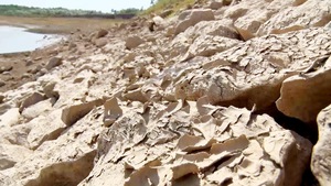 Mới giữa mùa khô, Quảng Trị và Quảng Bình đã đối mặt với hạn hán nghiêm trọng