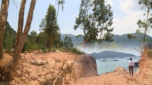 Tin nóng 24h: Công khai đào núi, xâm hại rừng đặc dụng ở Phú Yên