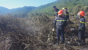 Cháy hơn 10 ha rừng trên bán đảo Sơn Trà