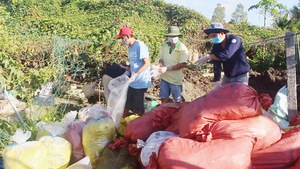 Phạt doanh nghiệp lén chôn gần 2,4 tấn thuốc bảo vệ thực vật 255 triệu đồng