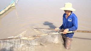 Nông dân miền Tây “thèm” mùa nước nổi