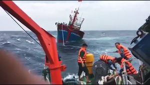Lai dắt tàu cá cùng 16 ngư dân gặp nạn vào bờ an toàn