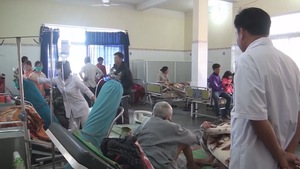 Phú Yên: Gia tăng bệnh sốt rét ở tất cả các địa phương