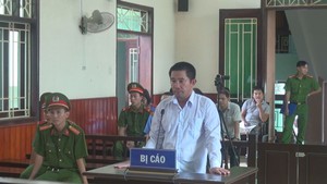 Thi hành án sai, cơ quan thi hành án bồi thường hơn 55 tỷ đồng cho doanh nghiệp