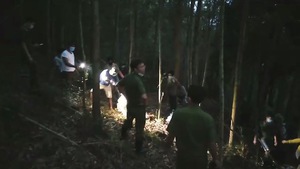 Phát hiện người đàn ông chết trong tư thế treo cổ trong rừng