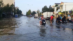 Mực nước cao lịch sử, phố thị ĐBSCL ngập nặng nề