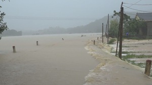 Hơn 8.300ha lúa mùa ở Thanh Hóa bị ngập, thiệt hại do mưa lũ