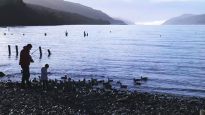 Quái vật hồ Loch Ness có thể là một con lươn khổng lồ?