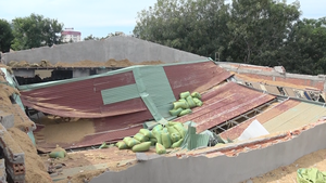 Video: Mái nhà 'King Night Club' đổ sập, một người chết tại chỗ